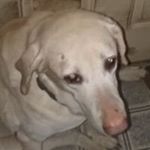 Profile Picture of Sam Bolden (@sambolden123) on Instagram