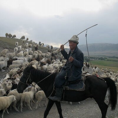 Profile Picture of Хасан Сулиманов (@HasanSulimanov) on Twitter