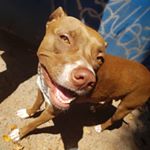 Profile Picture of Cindy💓 (@cindy_gabriel_andrade) on Instagram