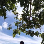 Profile Picture of Allen Cerilo (@allen.cerilo.2025) on Facebook