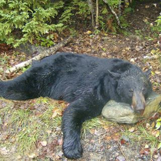 Profile Picture of Kevin Phinney Brandon Salls (@Kevin-Phinney-Brandon-Salls) on Facebook