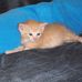 Profile Picture of Barbara Jorgenson (@barbara.jorgenson.10) on Facebook