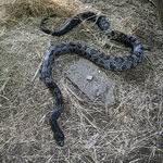 Profile Picture of Douglas Barry (@douglasbarry) on Instagram