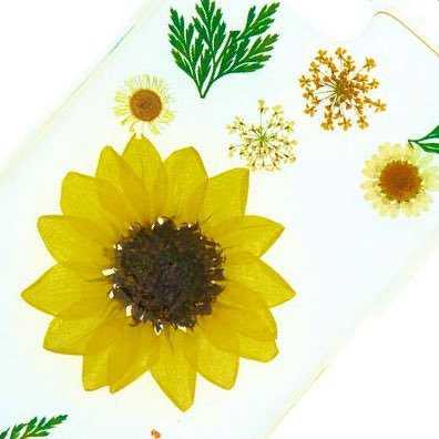 Profile Picture of Minerva Moreno (@Minerva32446329) on Twitter