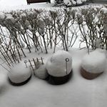 Profile Picture of Daniel Yeung (@daniel.yeung.77964) on Instagram