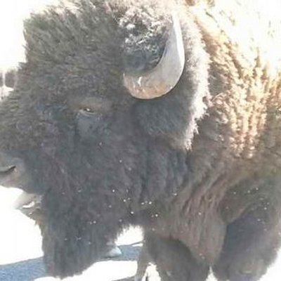 Profile Picture of Taylor Treadway (@tayloratreadway) on Twitter