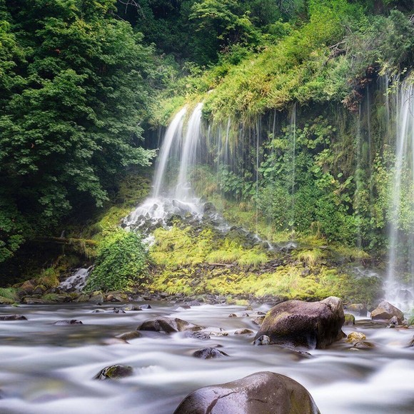 Profile Picture of Davis Nguyen (@quyhien8387) on Poshmark