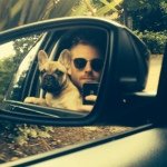 Profile Picture of James Ledger (@jaynine77) on Instagram