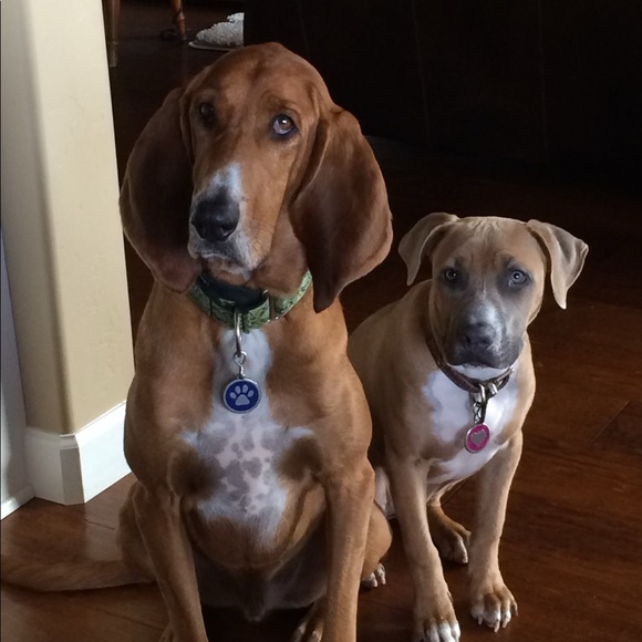 Profile Picture of Paula Osterhoudt (@theshoehound) on Poshmark