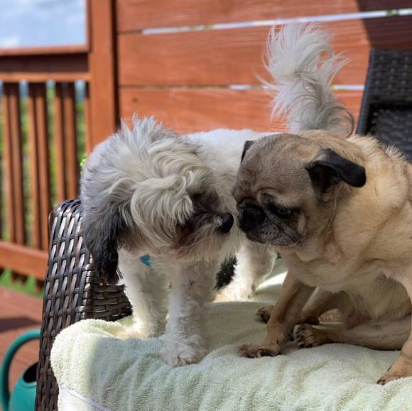 Profile Picture of Jason Zakis (@jzakis37) on Poshmark