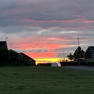 Profile Picture of sophiagriffiths (@@sophiagriffiths) on Tiktok