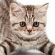 Profile Picture of Antonio Freda (@tonyfrdntn) on Youtube