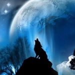 Profile Picture of Daniel Bolivar (@elvatodelabici2314) on Instagram