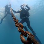 Profile Picture of Pablo Carbonell (@carbonell_p) on Instagram