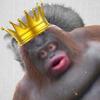 Profile Picture of Jerome Monkey (@@jeromethemonkeyking) on Tiktok