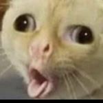 Profile Picture of Julie Mcara- Tinkler (@julie_mcara) on Instagram