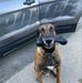Profile Picture of Richard Gilmore (@richard.gilmore.5070) on Facebook