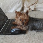 Profile Picture of Kitty Harperclark (@kitty_harper_clark) on Instagram