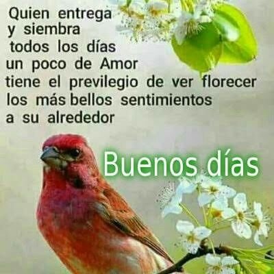 Profile Picture of Gilberto Correa (@Gilbert56115028) on Twitter