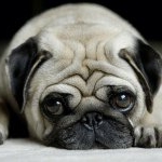 Profile Picture of Cường Nguyễn (@cuongdls) on Instagram