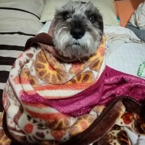 Profile Picture of Jose Natividad Espejo Granillo (@EspejoGranillo) on Twitter