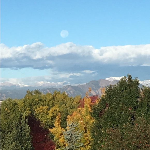 Profile Picture of Lynn Sustad (@lynnsus) on Poshmark