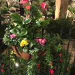 Profile Picture of Jamie Farmer (@jamie.farmer.311) on Instagram