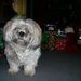Profile Picture of Hazel Hoyt (@grannyhoyt) on Pinterest