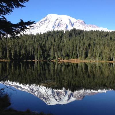 Ben Wofford - Twitter Profile Picture of Ben Wofford (@b_wofford) on Twitter