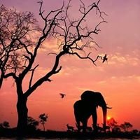 Profile Picture of Peter Emile (@peteremile2) on Twitter