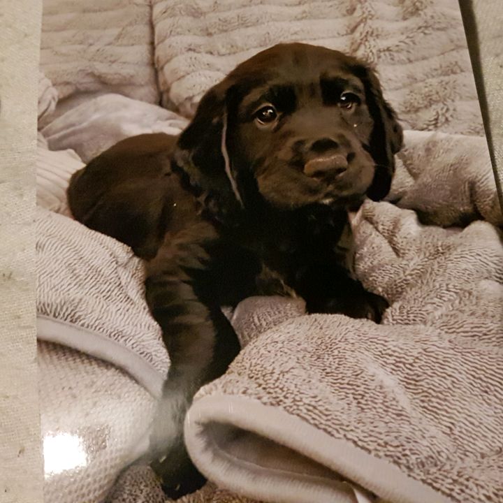 Profile Picture of Thomas Laver (@thomaslaver) on Tiktok