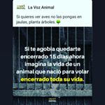 Profile Picture of felipe fabian carbonell alvare (@pipe_jeans) on Instagram