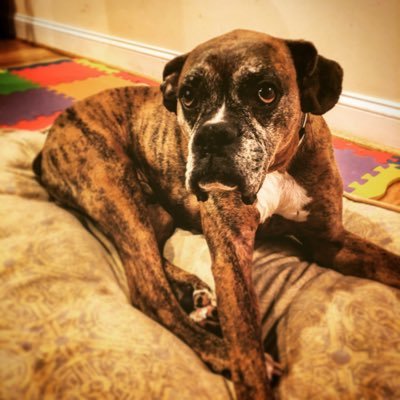 Profile Picture of JC (@FakeJoeCallahan) on Twitter