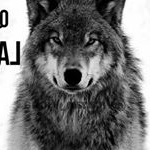 Profile Picture of Yolanda Pedroza Hinojosa (@yolipedrozah) on Instagram