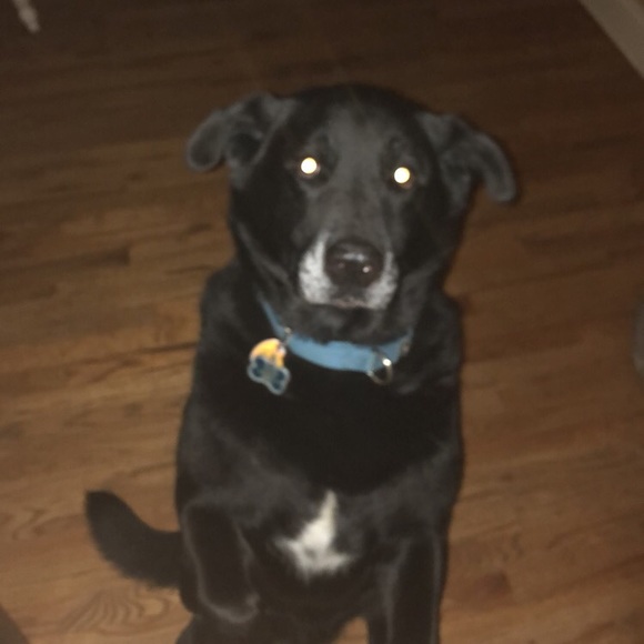 Profile Picture of Trevor Romigh (@tbr17) on Poshmark