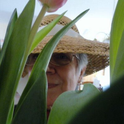 Profile Picture of Jane Rutkowski (@@jrflowergirl) on Twitter