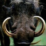 Profile Picture of Luke Marden (@b4picture) on Instagram