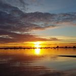 Profile Picture of Brian Ostrowski (@brian_ostrowski) on Instagram