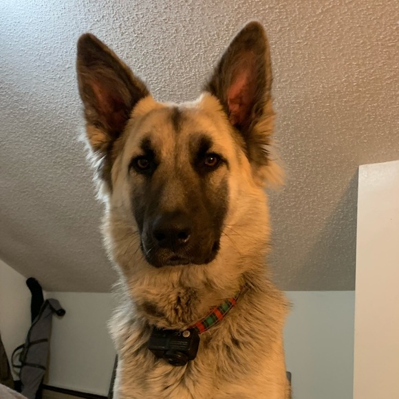 Profile Picture of Kyle Coetzee (@the_african) on Poshmark