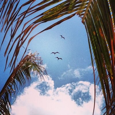 Profile Picture of Andy De Luque (@Andydeluque) on Twitter