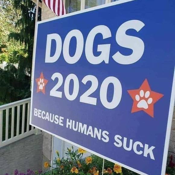 Profile Picture of Melissa Mansfield (@melmaston) on Poshmark