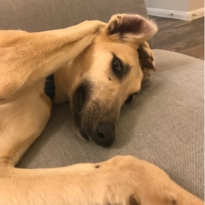 Profile Picture of Julia Chauvin (@julia_e_grey) on Twitter