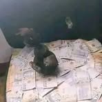 Profile Picture of Docota Magolo (@Docota-Magolo) on Facebook