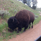 Profile Picture of Michael Schulte (@michaelschulte7903) on Youtube