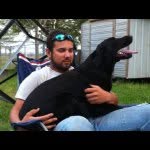 Chase Norris - Instagram Profile Picture of Chase Norris (@chase_norris) on Instagram