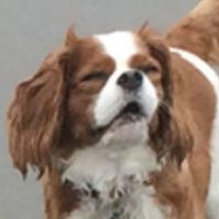 Profile Picture of Brian Sherry (@brian-sherry-4) on Quora