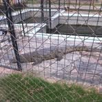 Profile Picture of Mario Bonito (@mario.bonito.986) on Facebook