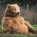 Profile Picture of 🌺🐻༒Bannana༒🐻🌺 (@hannahice3520) on Pinterest