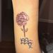 Profile Picture of Nancy Lugo (@eckhoff6n) on Pinterest