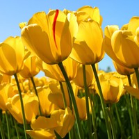 Profile Picture of Zachary Glover (@zachary-glover-13) on Quora